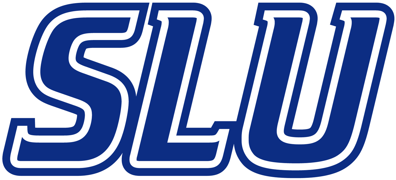 Saint Louis Billikens 2002-Pres Wordmark Logo v2 diy DTF decal sticker